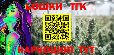 МДПВ Рыбинск