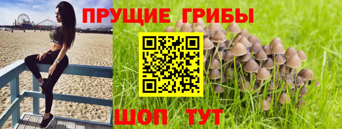 Псилоцибиновые грибы MAGIC MUSHROOMS Сердобск