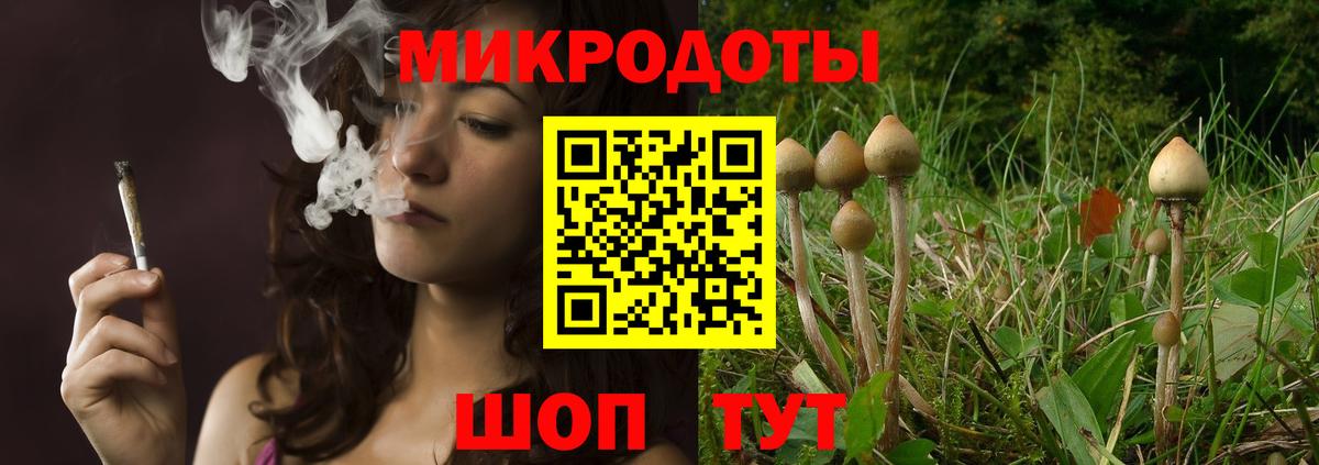 Псилоцибиновые грибы прущие грибы  Вход с VPN  Сердобск  Галлюциногенные грибы мухоморы 